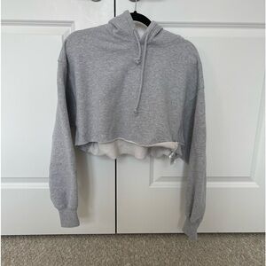 Aritzia TNA boyfriend cropped Hoodie